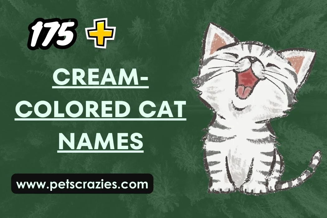 Cream-colored Cat Names