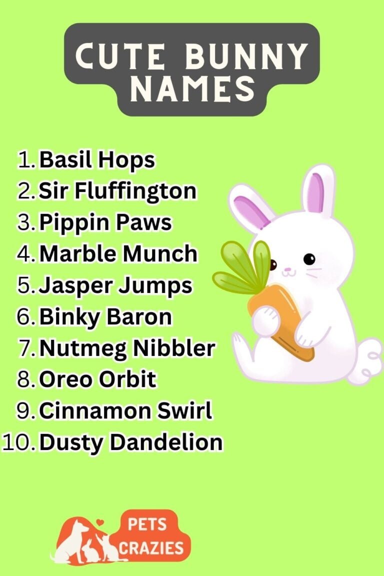 175+ Cute Bunny Names - Adorable & Sweet Ideas