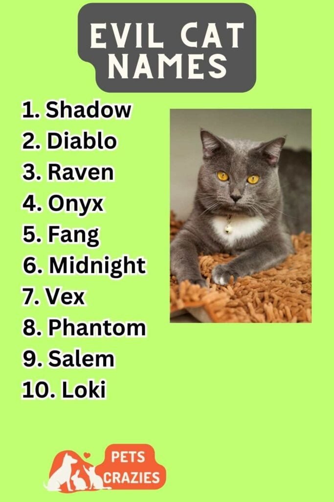 300+ Evil Cat Names (Unleash Feline Fierceness)