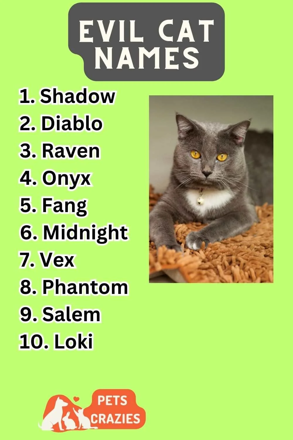 Evil Cat Names Ideas List