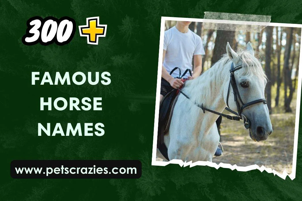 famous-racehorse-names-31-ideas-to-inspire-you