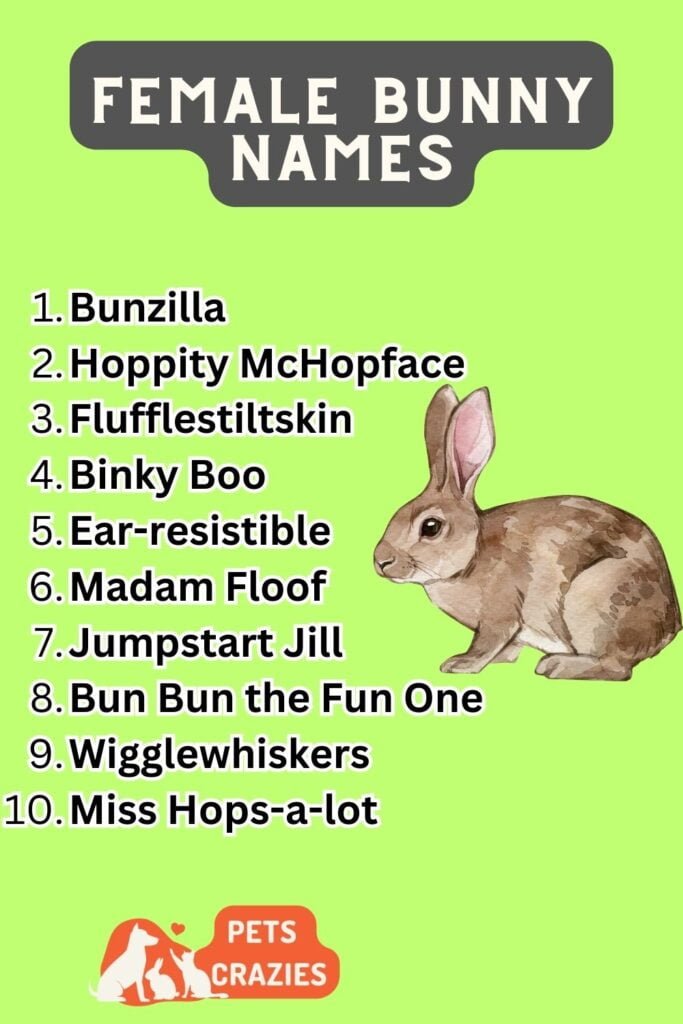 175 Female Bunny Names Cute And Unique Choices 2848