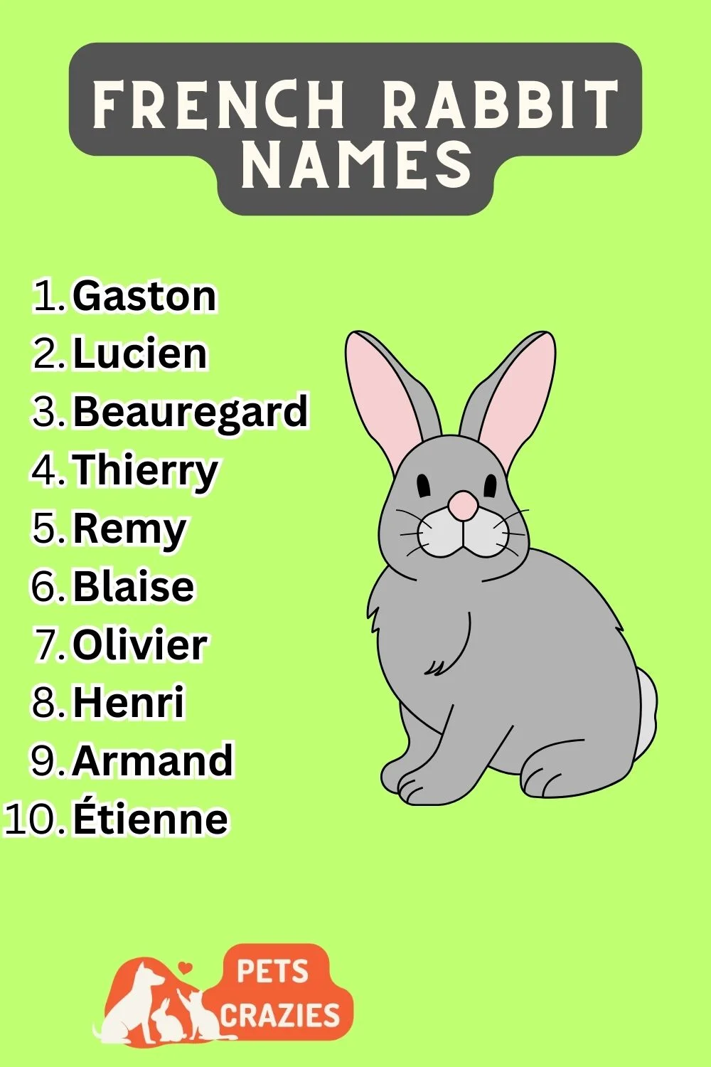 French Rabbit Names List