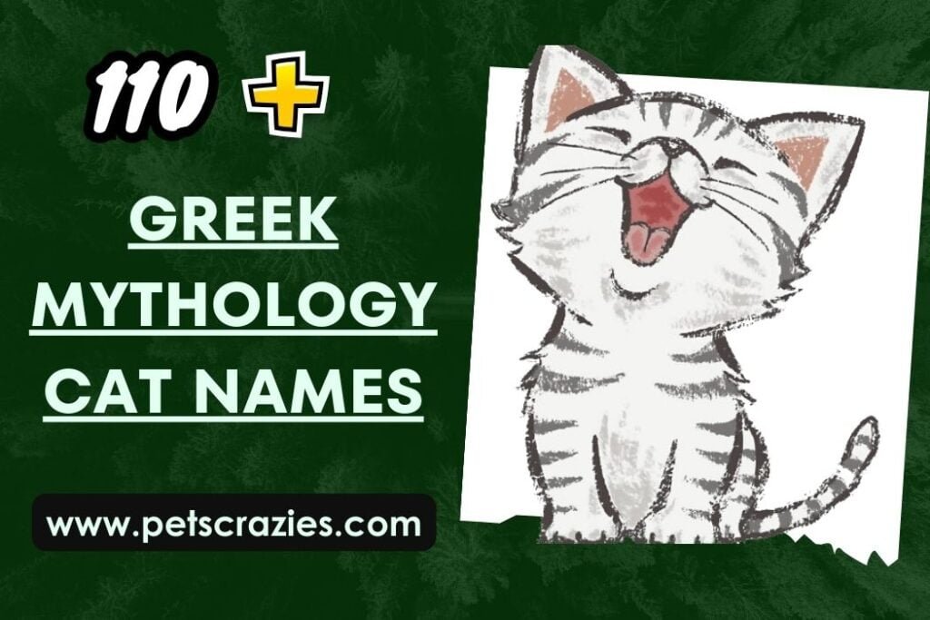 200+ Greek Mythology Cat Names - Funny and Mythical Ideas