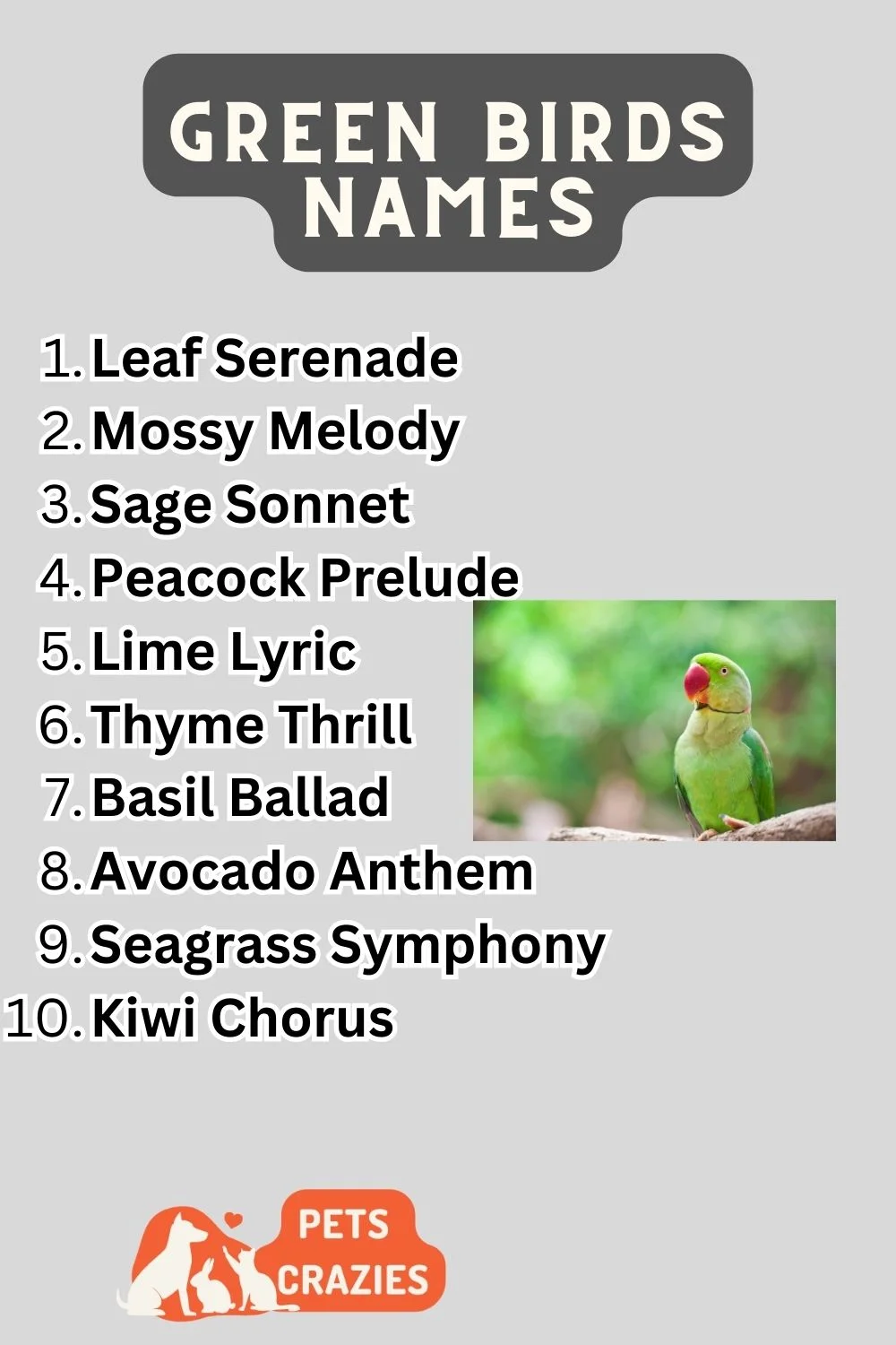Green Birds Names - Unique And Popular Choices 3 Green Birds Names List