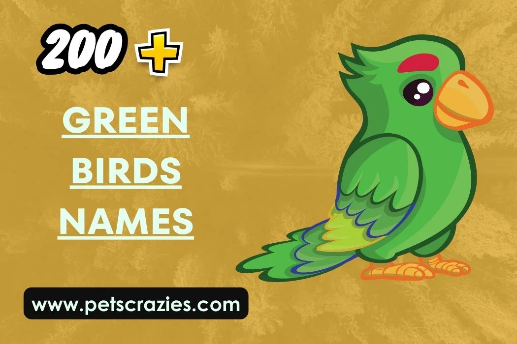 Green Birds Names - Unique And Popular Choices 1 Green Birds Names