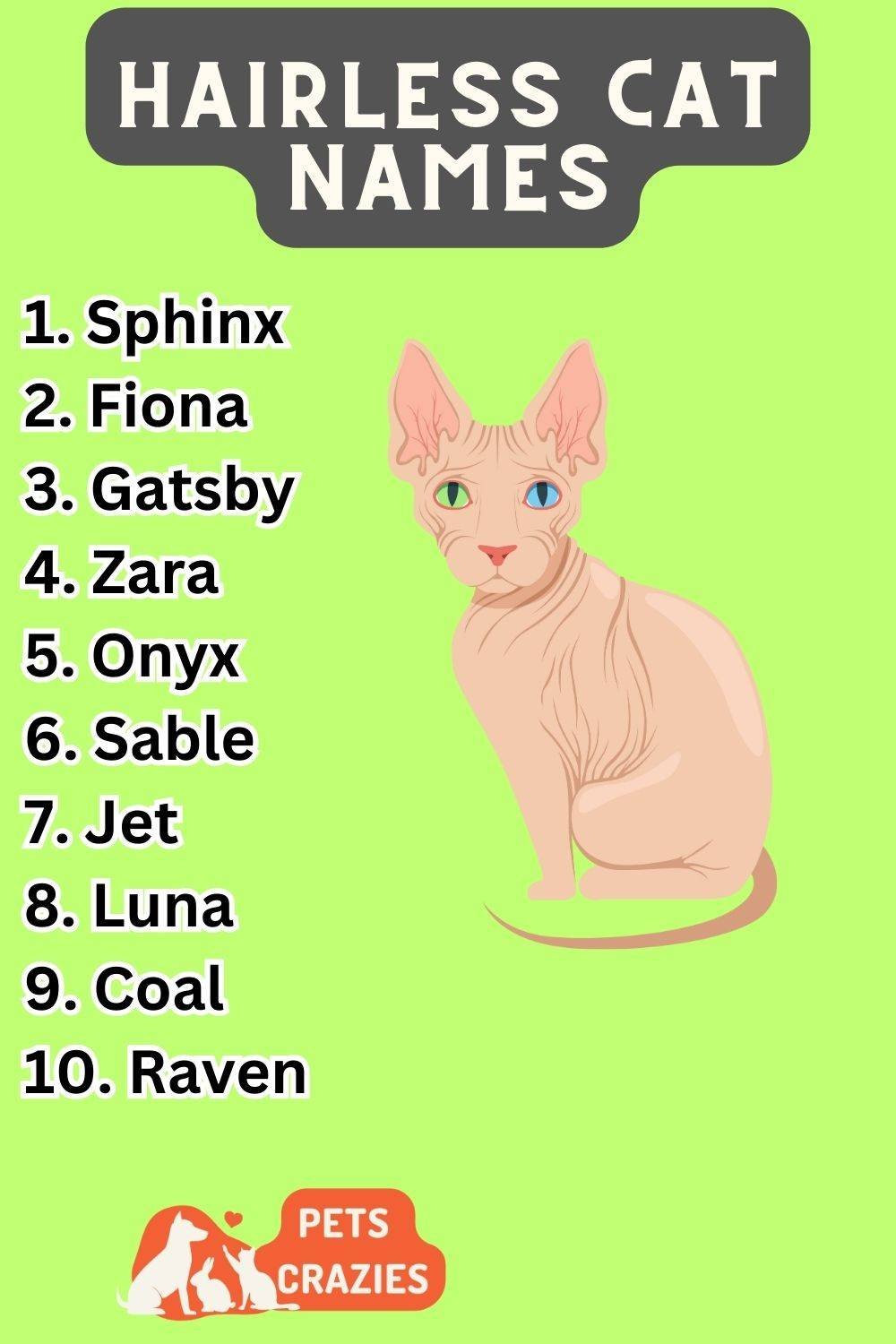 300+ Hairless Cat Names (Unique & Memorable)