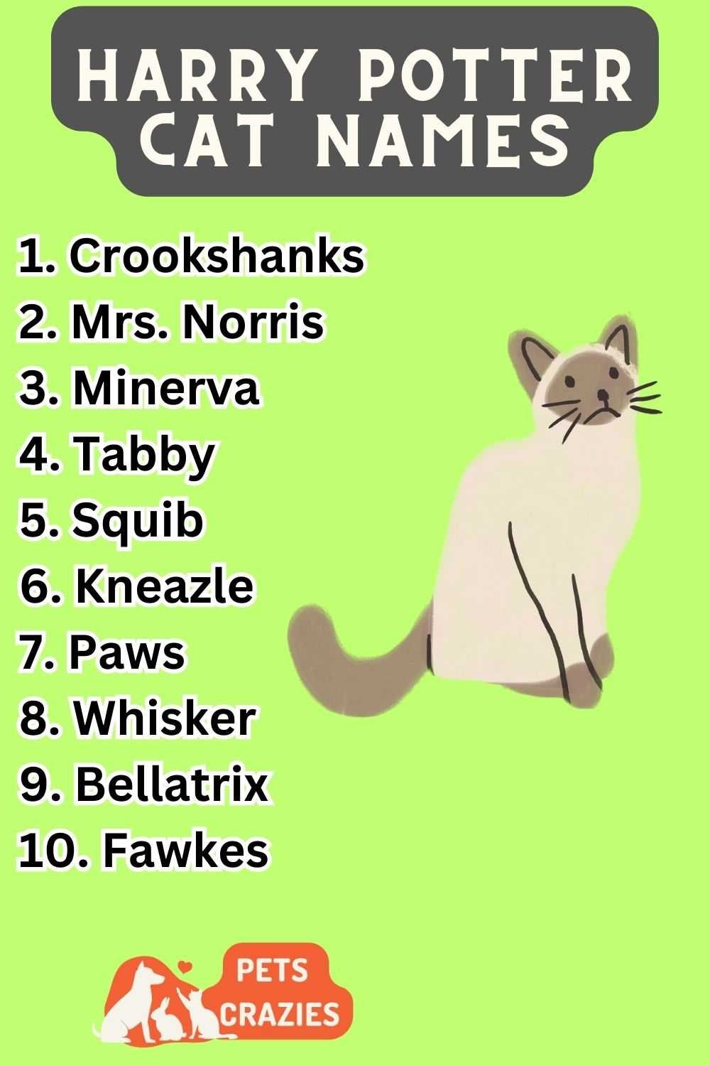 300+ Harry Potter Cat Names (Furry Wizards)