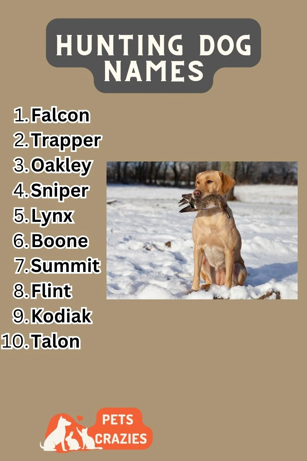 Hunting Dog Names List