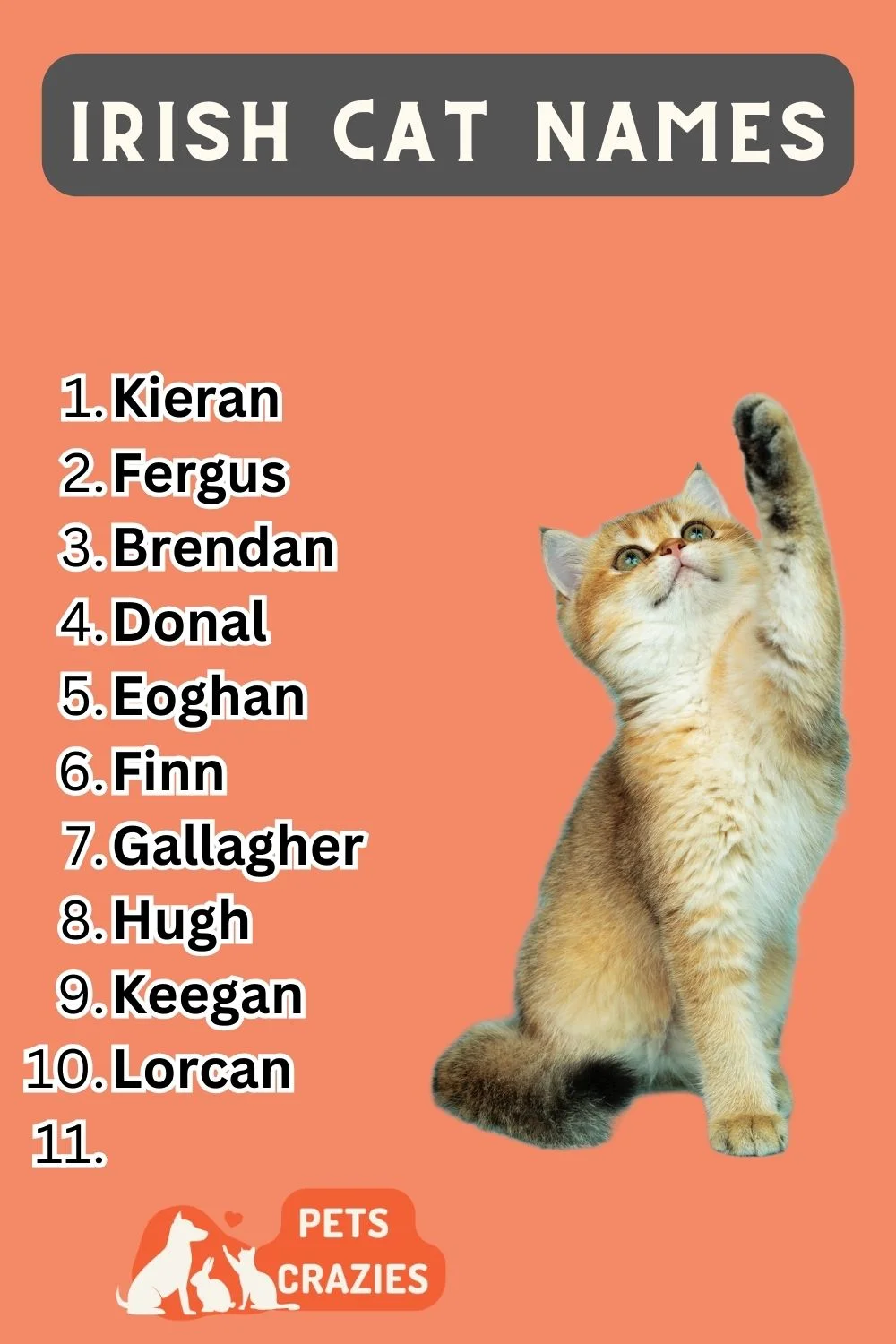 Irish Cat Names List