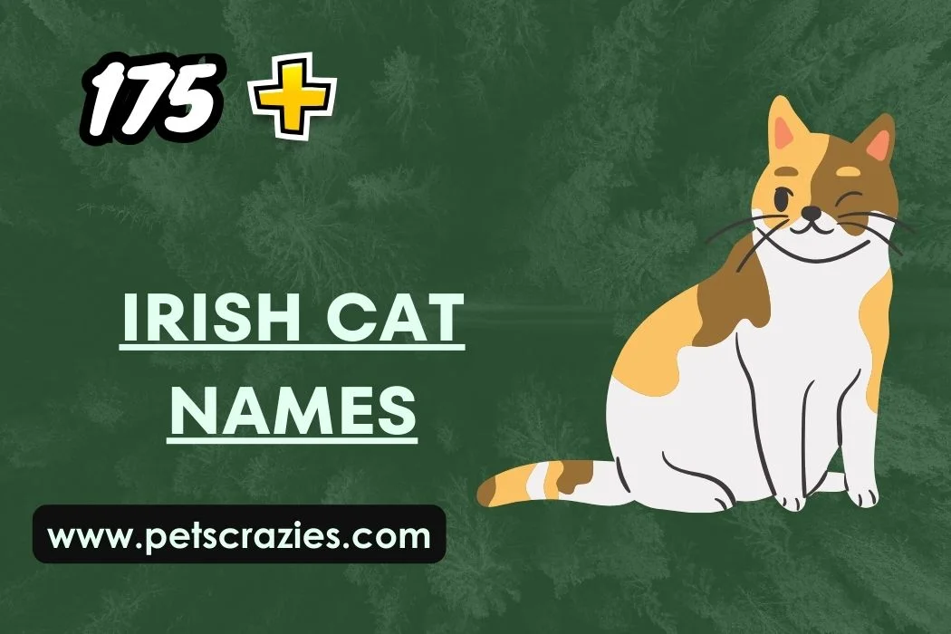 Irish Cat Names
