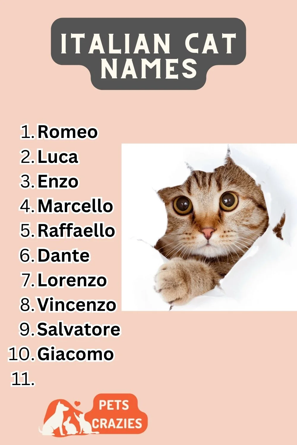 Italian Cat Names - Adding Bella Vita To Your Kitty! 3 Italian Cat Names List