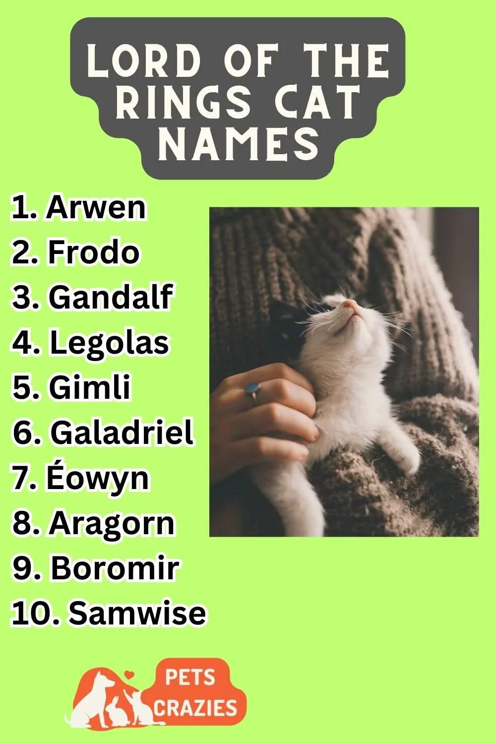 Lord Of The Rings Cat Names Ideas List