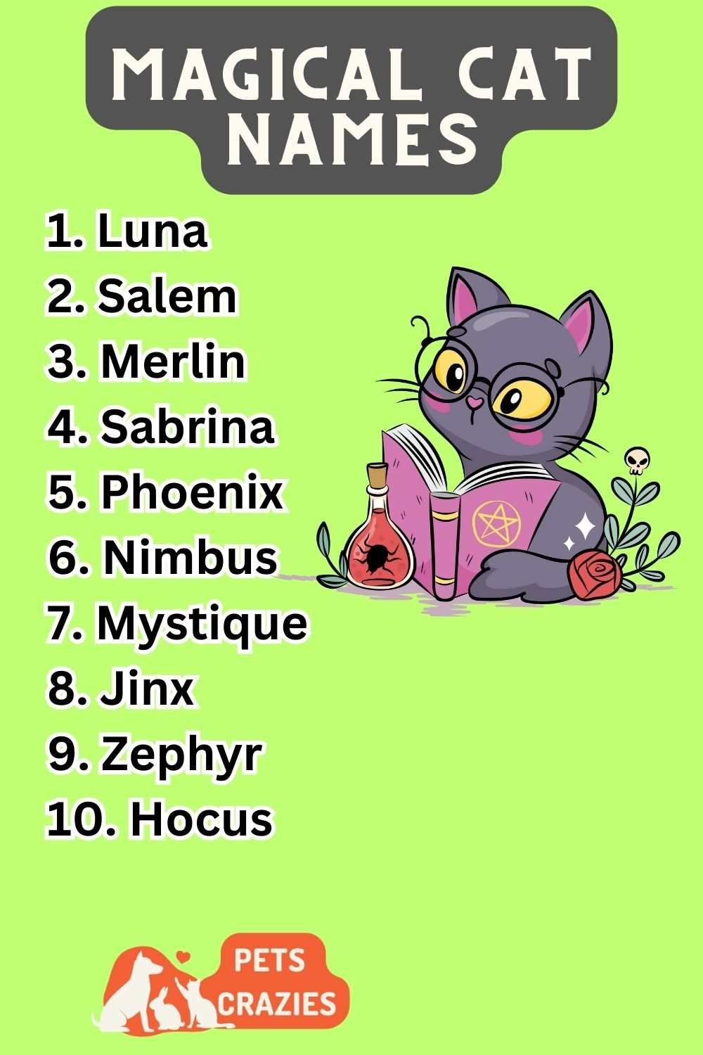 Magical Cat Names (300+ Unique Ideas) 3 Magical Cat Names Ideas List