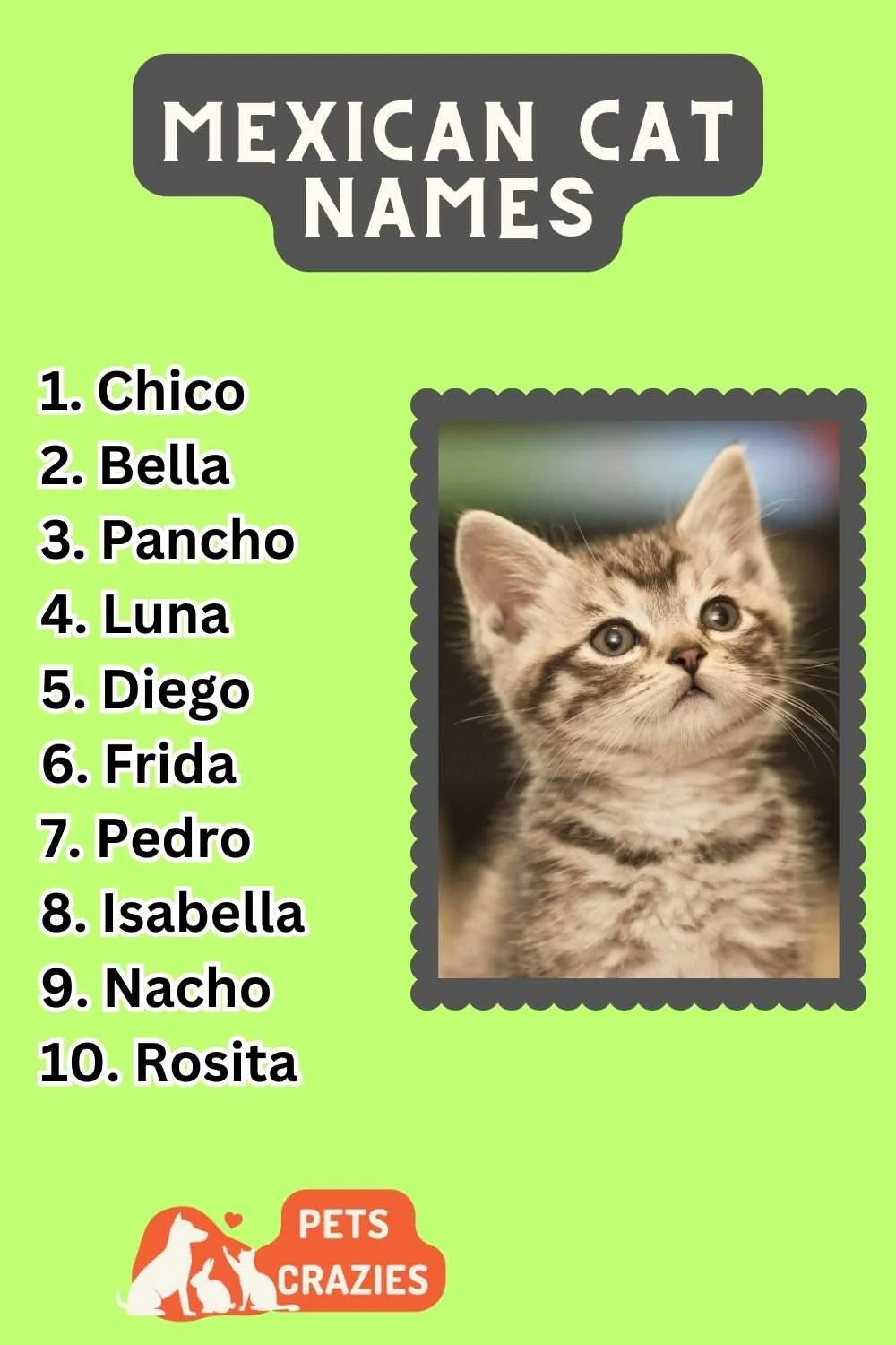 Mexican Cat Names Ideas List