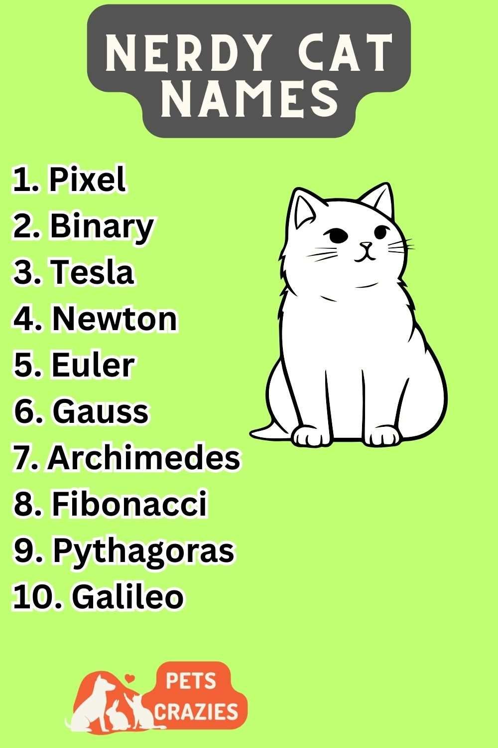 300+ Nerdy Cat Names (Geeky Inspiration)