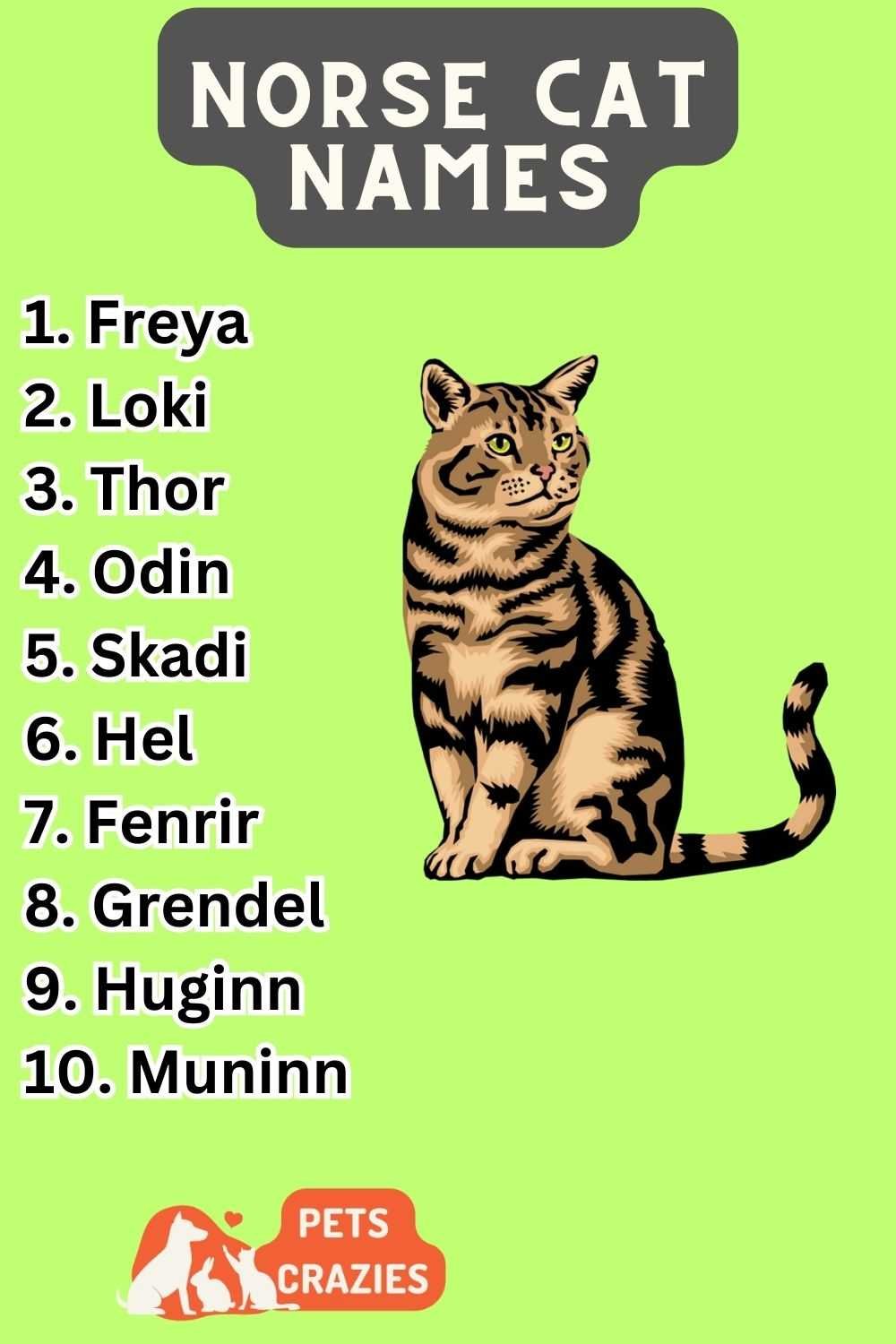 300-norse-cat-names-unique-choices