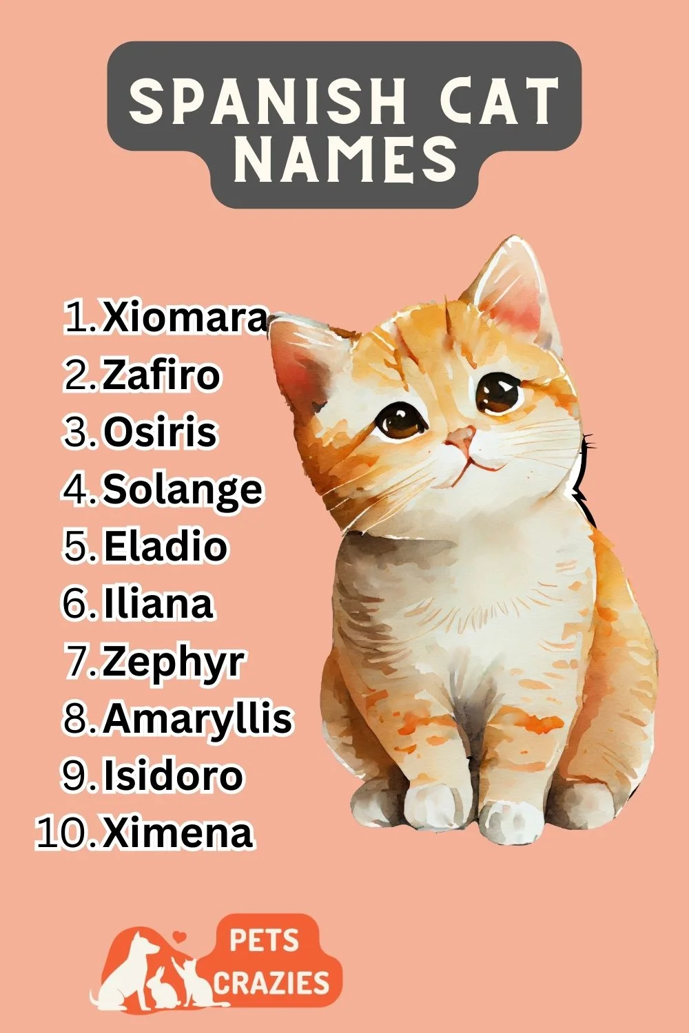 Spanish Cat Names List
