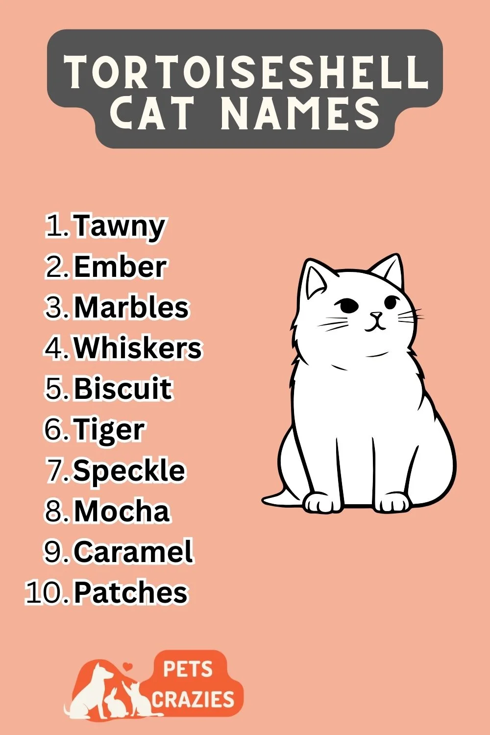 Tortoiseshell Cat Names - Funny and Creative Ideas 3 Tortoiseshell Cat Names List