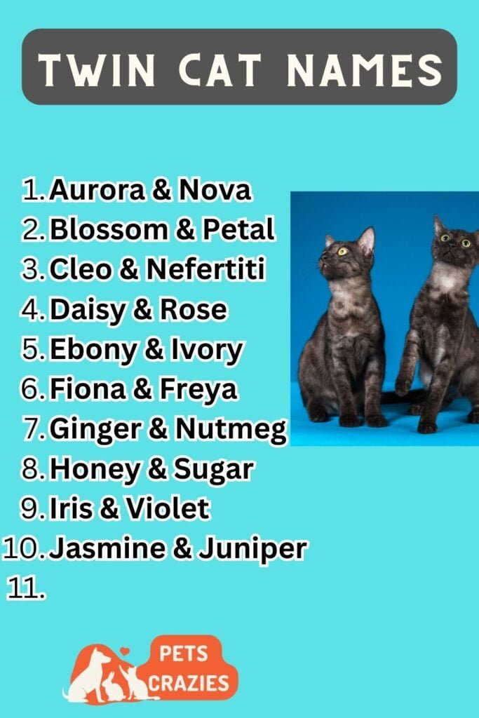 250-twin-cat-names-perfect-matching-pairs