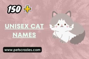 150+ Unisex Cat Names - The Perfect Fit for Any Kitty