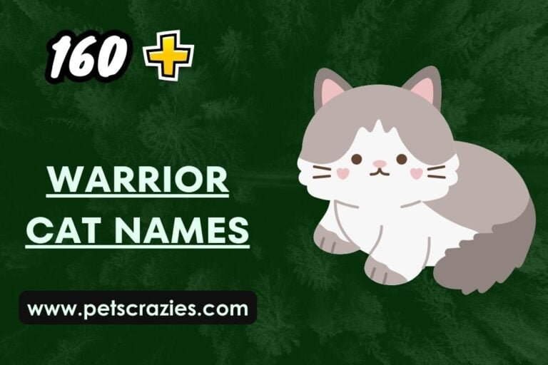 200+ Warrior Cat Names Reflecting their Wild Spirit!