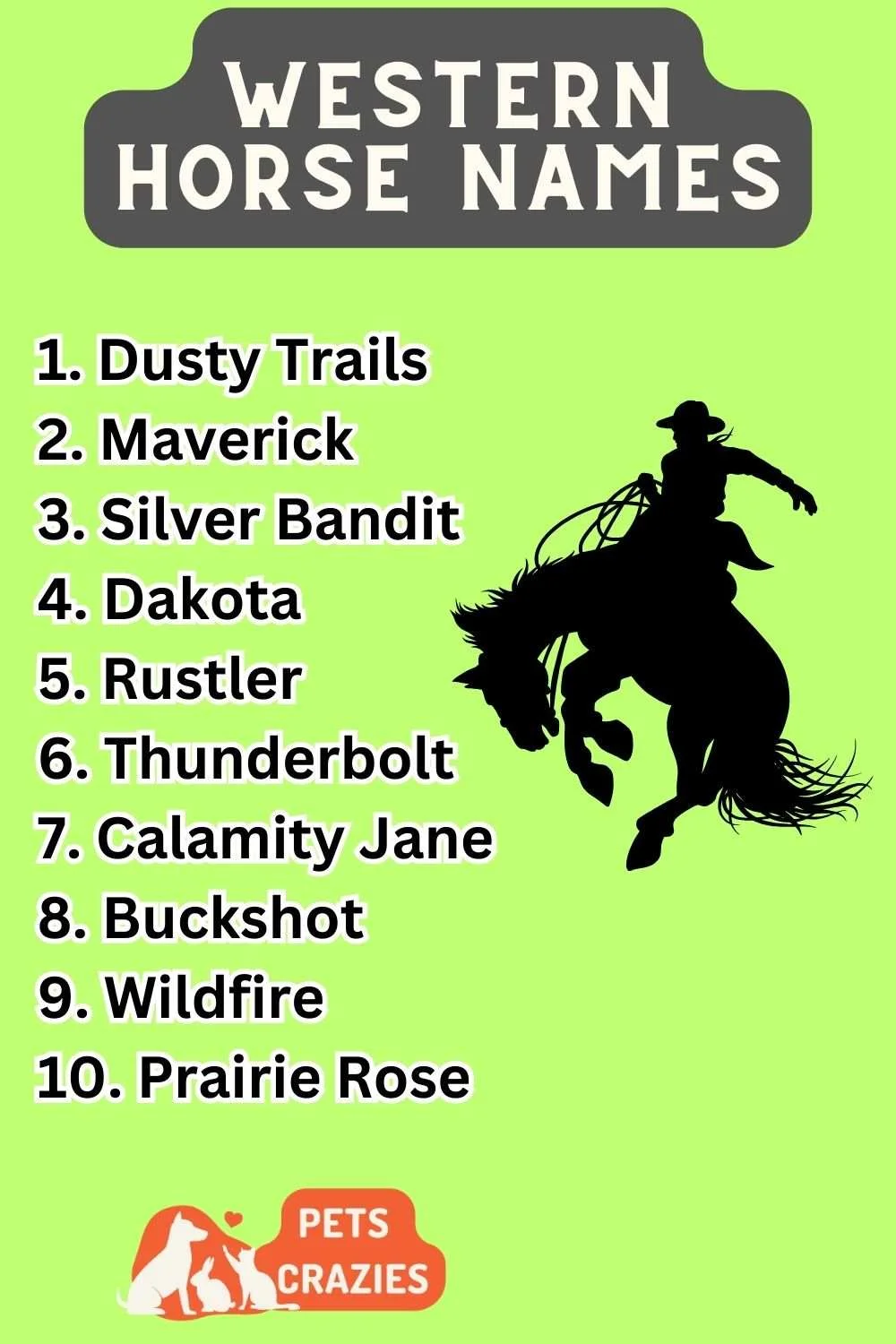 Western Horse Names (300+ Creative Ideas) 3 Western Horse Names Ideas List
