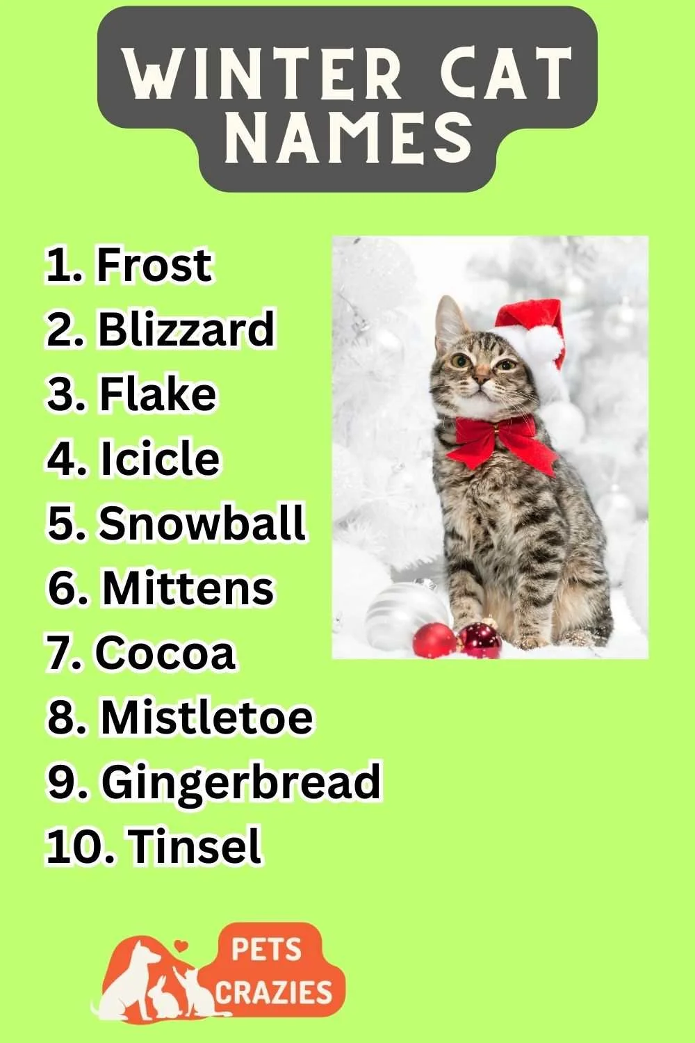 Winter Cat Names (300+ Cozy Companions) 3 Winter Cat Names