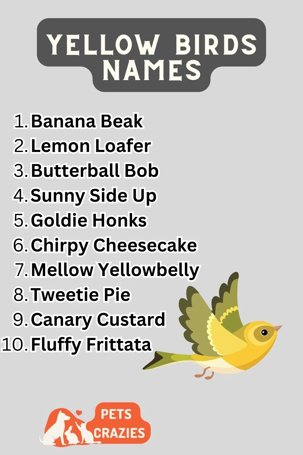 Yellow Birds Names - Unique And Funny Ideas 3 Yellow Birds Names List