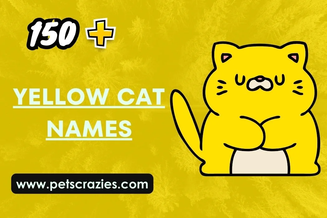 Yellow Cat Names