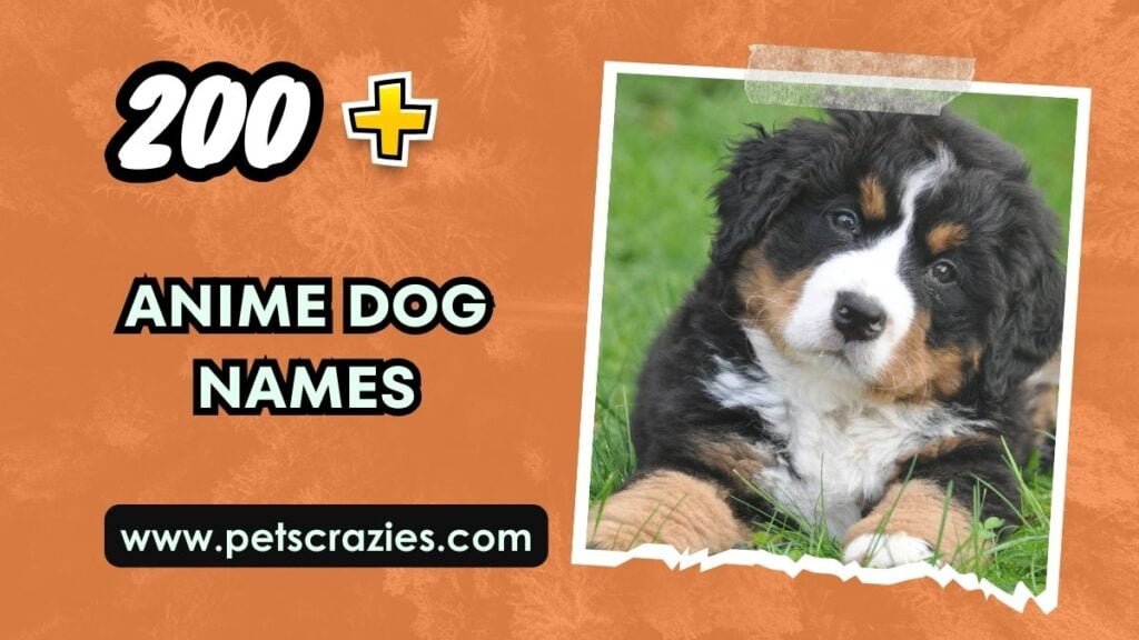 200+ Anime Dog Names - Iconic And Memorable Picks