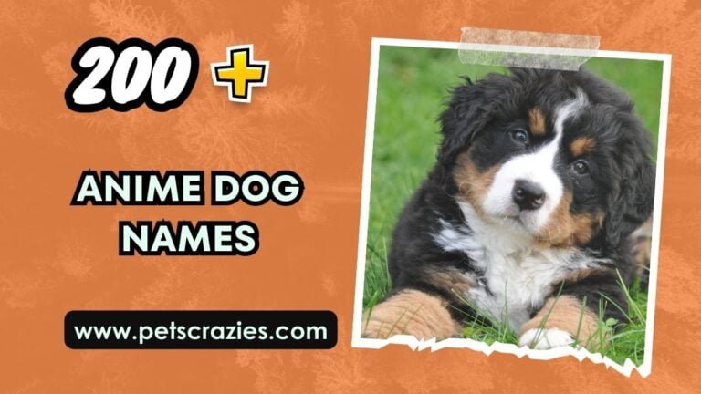 200-anime-dog-names-iconic-and-memorable-picks