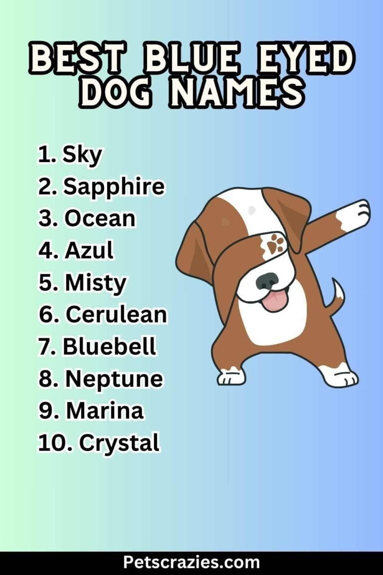 300 Blue Eyed Dog Names Perfect Puppy Monikers 300-blue-eyed-dog-names-perfect-puppy-monikers
