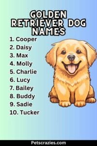 300 Golden Retriever Dog Names Memorable Monikers 300-golden-retriever-dog-names-memorable-monikers