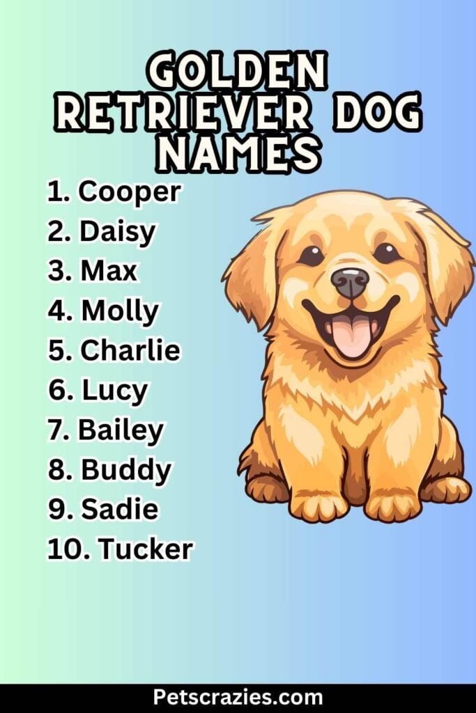 300 Golden Retriever Dog Names Memorable Monikers 