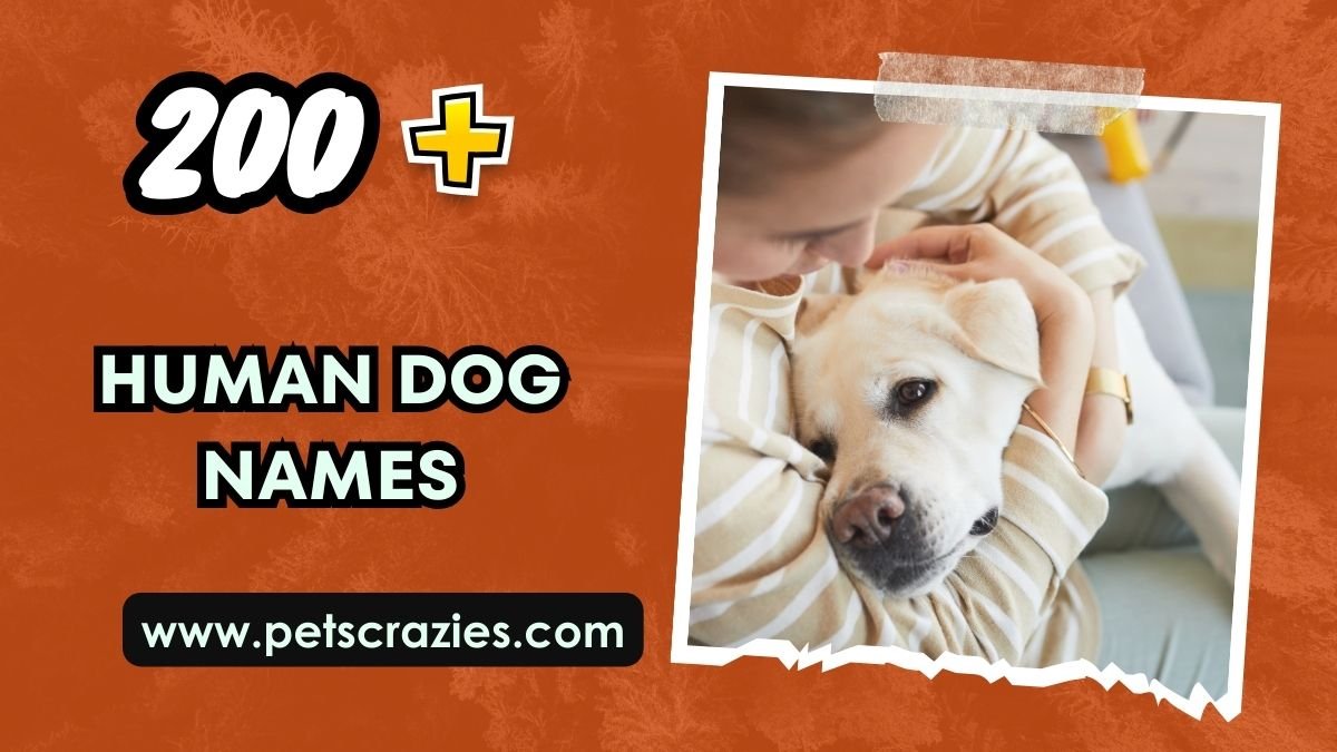 200-human-dog-names-cute-and-loyal-ideas