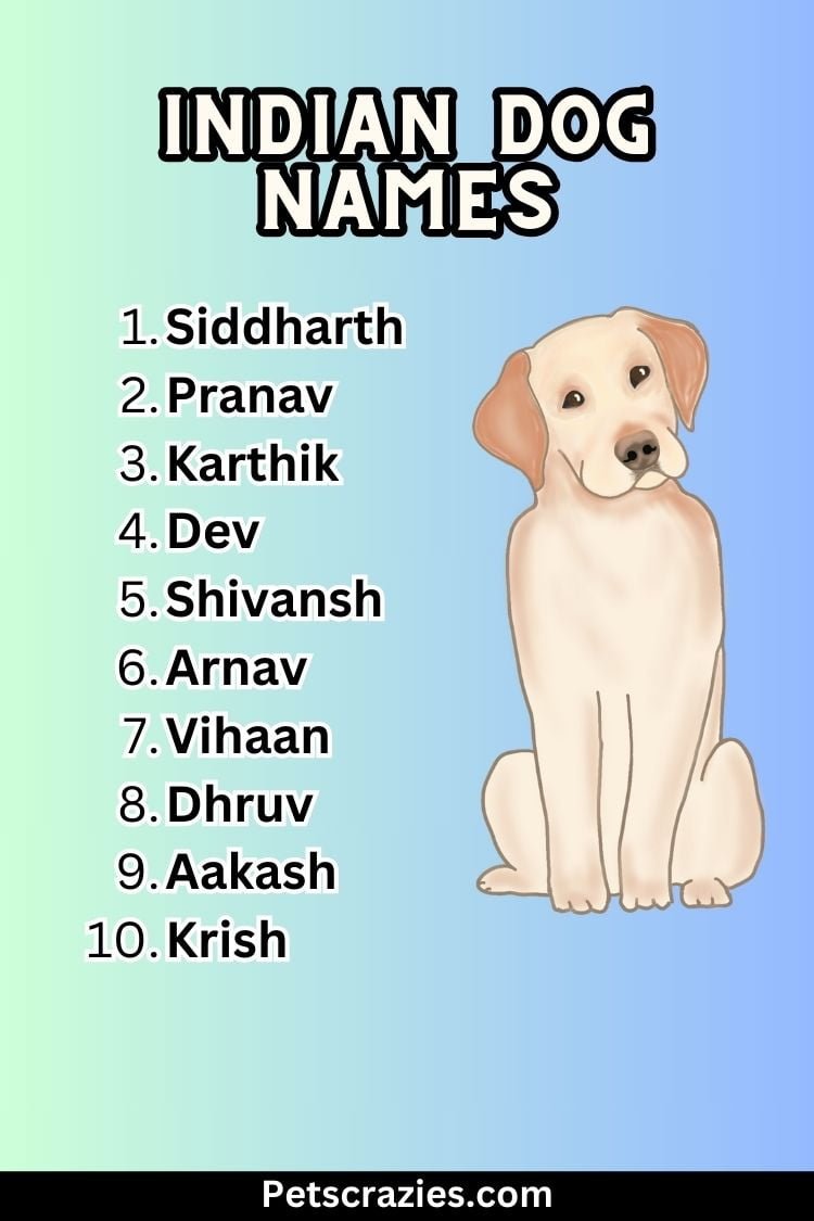 200-indian-dog-names-vibrant-and-unique-ideas