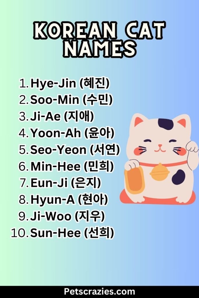 200+ Korean Cat Names - Elegant And Distinctive Ideas