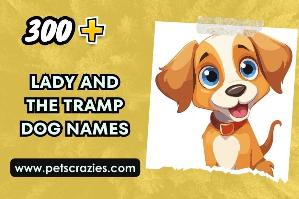 300+ Lady And The Tramp Dog Names (Timeless Pet Names)