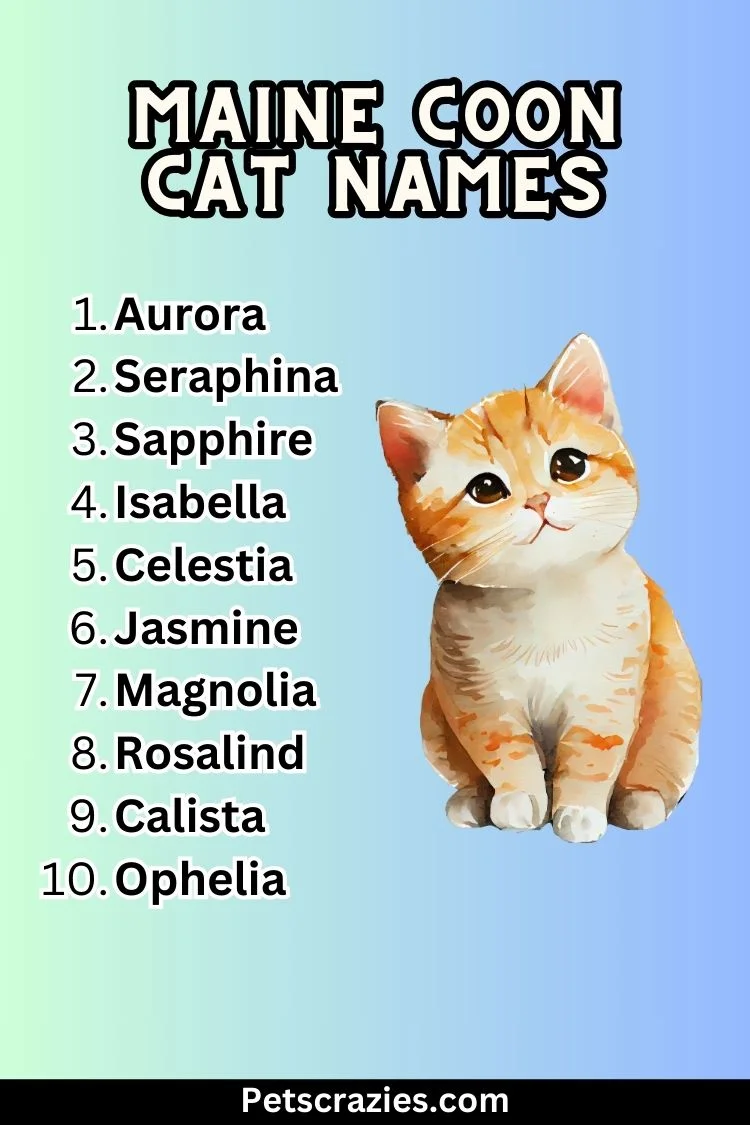 Maine Coon Cat Names - Majestic And Regal Choices 3 Maine Coon Cat Names List