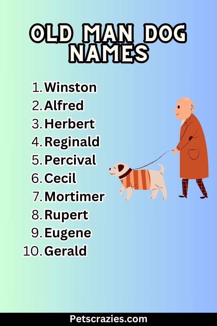 200 Old Man Dog Names Vintage And Classic Picks   Old Man Dog Names 3 