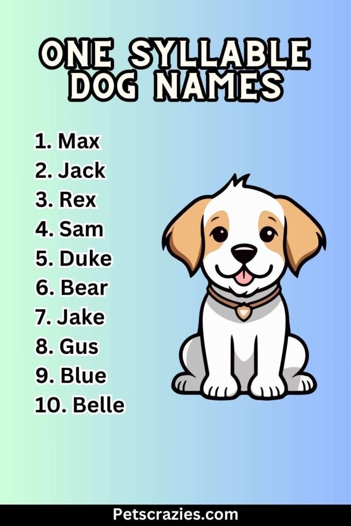 300+ One Syllable Dog Names (Quick Recall Tips)