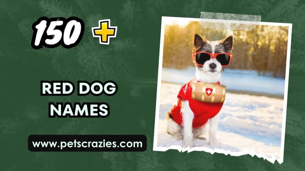 200+ Red Dog Names - Fiery And Colorful Picks