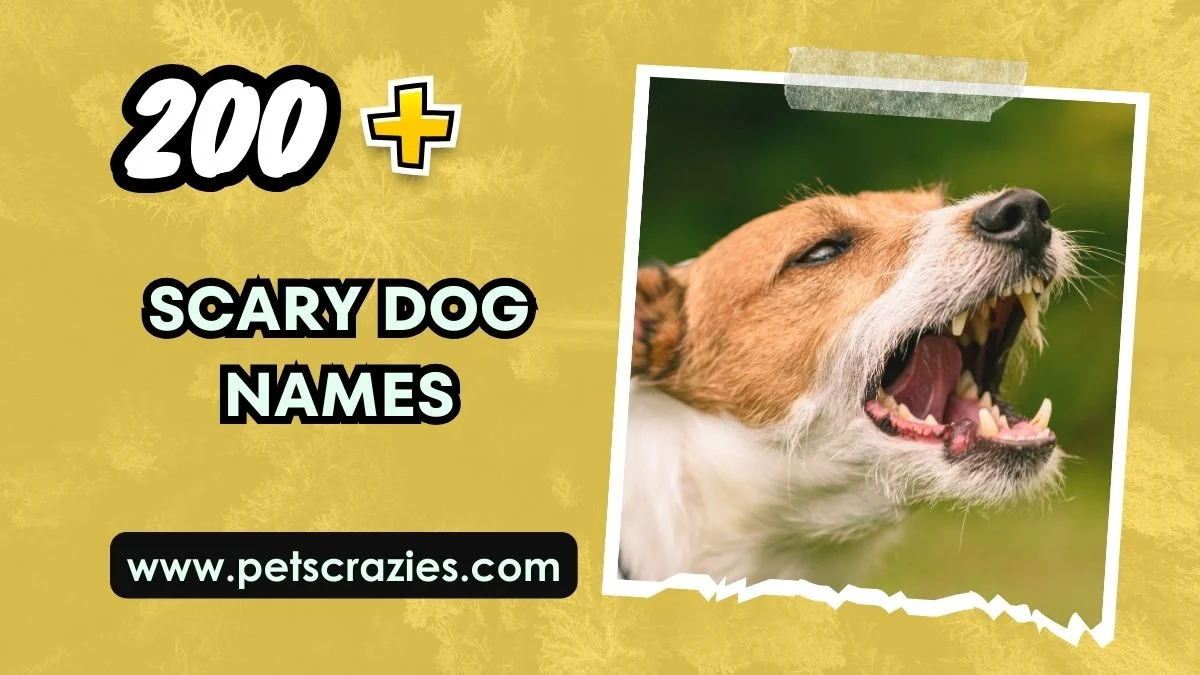 Scary Dog Names