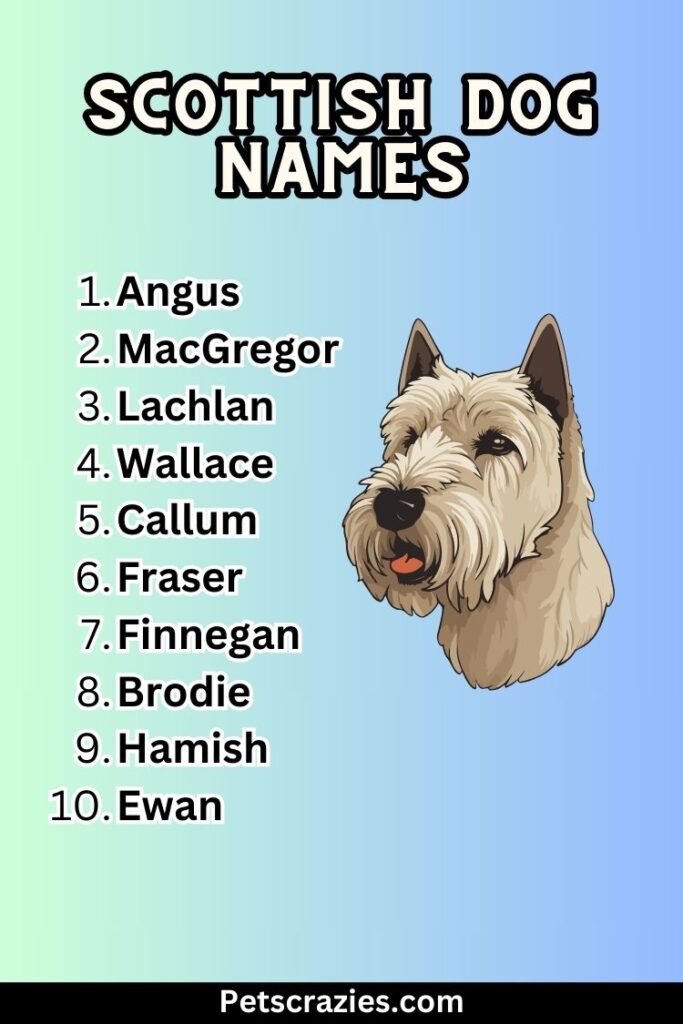 200+ Scottish Dog Names - Historic And Bonnie Pup Picks