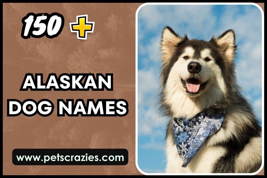 Alaskan Dog Names