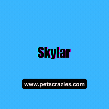 Blue Dog Names (Trendy Choices) 2 Blue Dog Names All Time Favourite