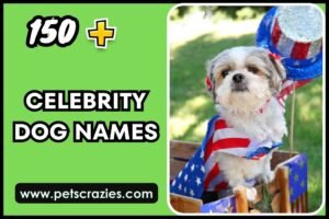 150+ Celebrity Dog Names - Famous And Popular Picks