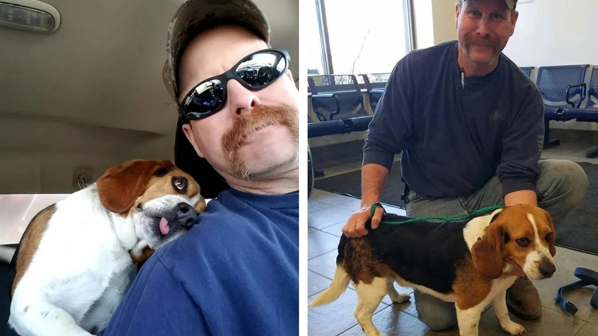 From Death Row to Pure Joy: A Dog's Incredible Rescue Story