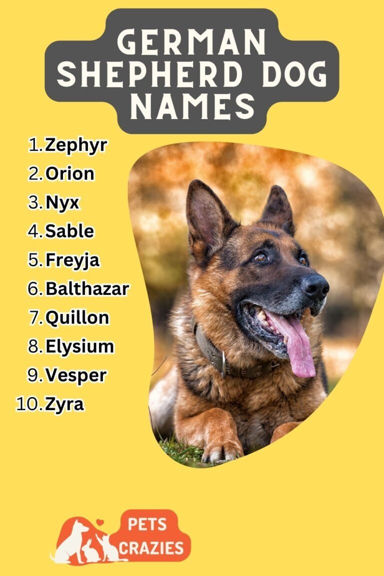 150 German Shepherd Dog Names Strong Ideas